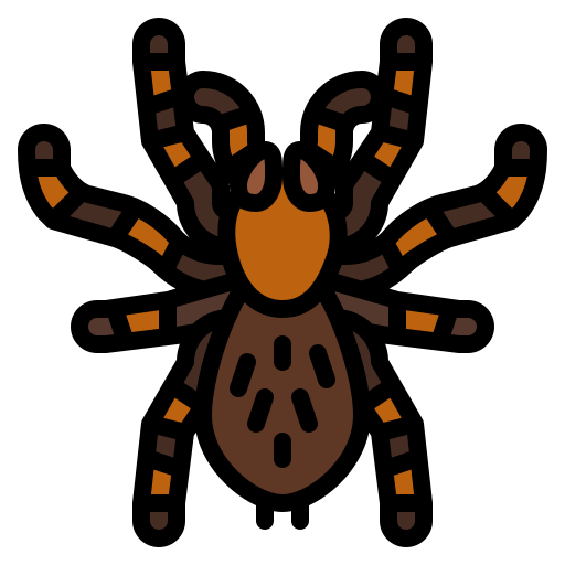 tarántula icono gratis