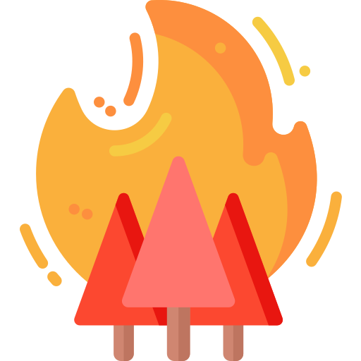 Fire free icon