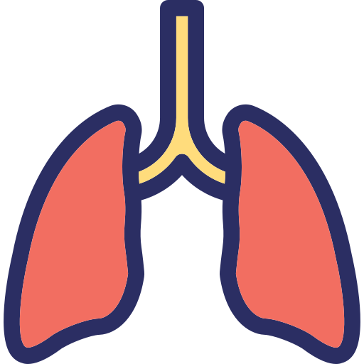 pulmones humanos icono gratis