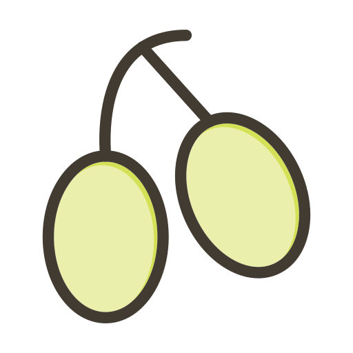 aceituna icono gratis