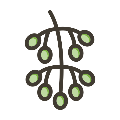 hackberry kostenlos Icon hackberry kostenlos Icon