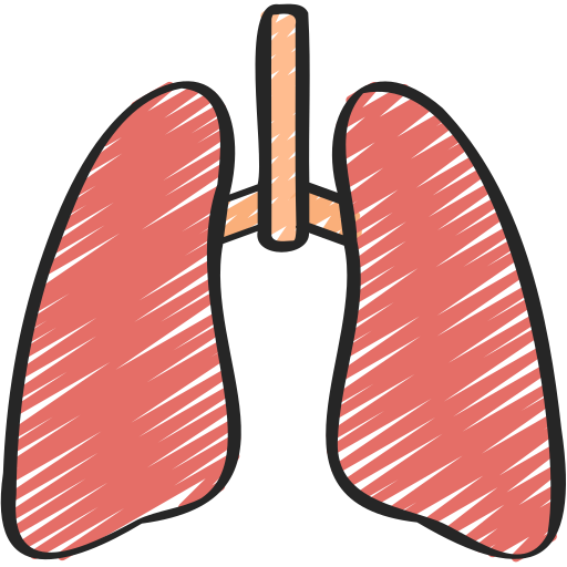 pulmones icono gratis