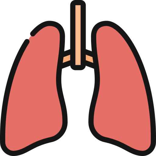 pulmones icono gratis