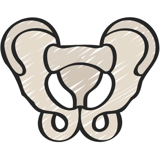 pelvis icono gratis