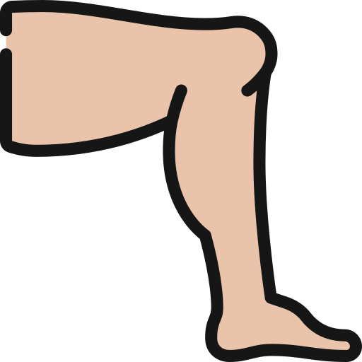 Leg - Free healthcare and medical icons