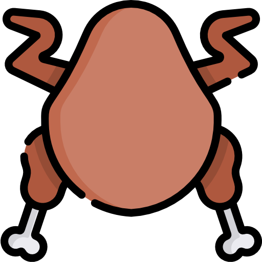 Turkey Special Lineal color icon