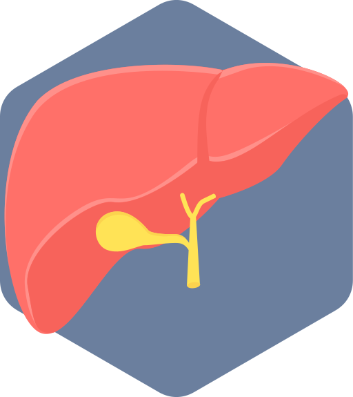 körper kostenlos Icon