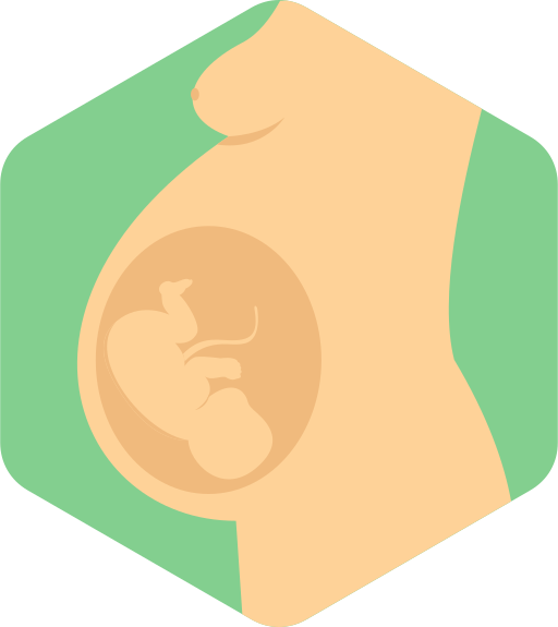 enceinte Icône gratuit enceinte Icône gratuit