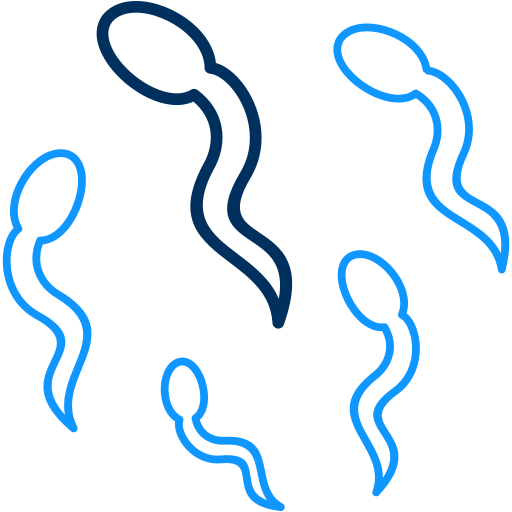 의료 무료 아이콘