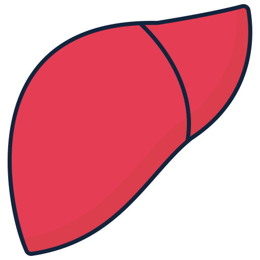 Желудок бесплатно иконка