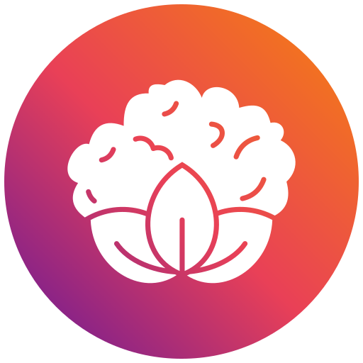 coliflor icono gratis