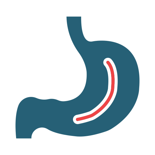 gastroenterologie kostenlos Icon