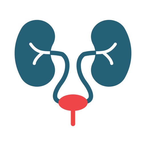 urologie Icône gratuit urologie Icône gratuit