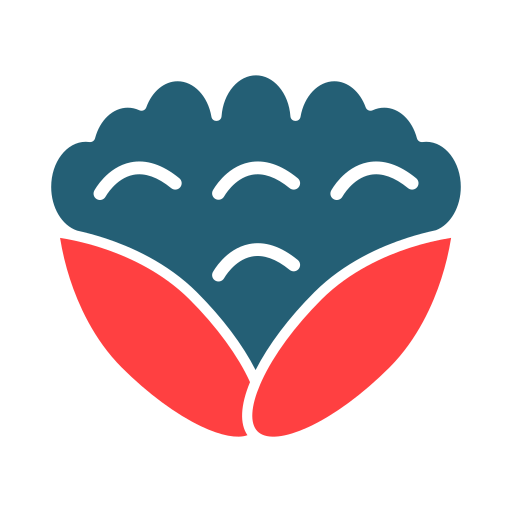 Цветная капуста бесплатно иконка