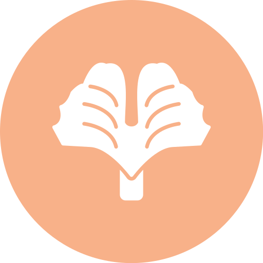 Ginkgo biloba free icon Ginkgo biloba free icon