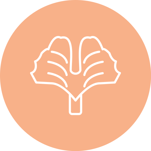 Ginkgo biloba free icon Ginkgo biloba free icon