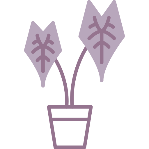 alocasia kostenlos Icon