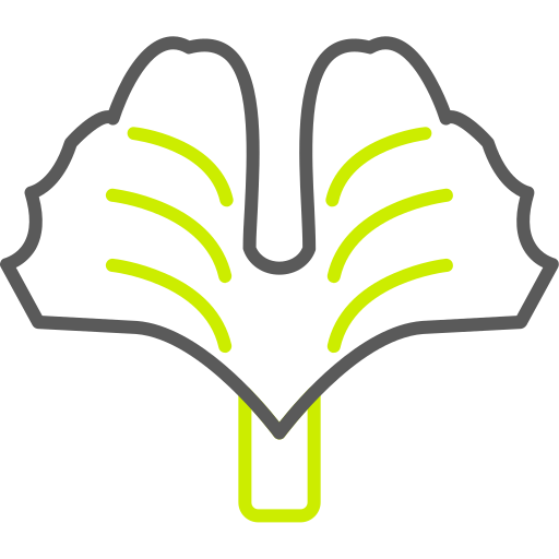 ginkgo biloba kostenlos Icon ginkgo biloba kostenlos Icon