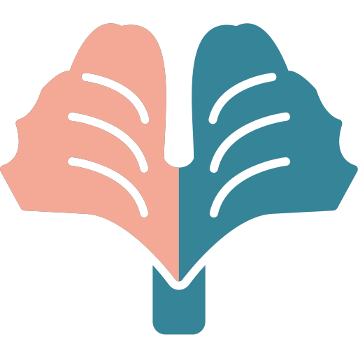 Ginkgo biloba free icon