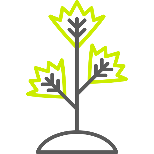 petersilie kostenlos Icon