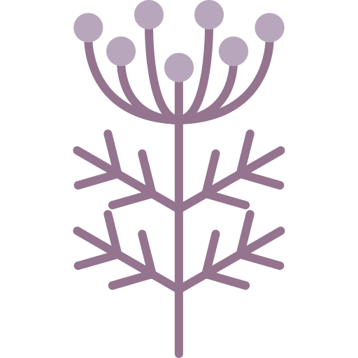 aneto grátis ícone