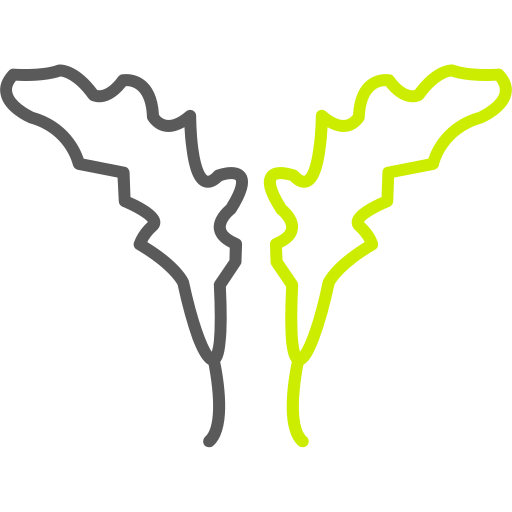 rúcula grátis ícone rúcula grátis ícone