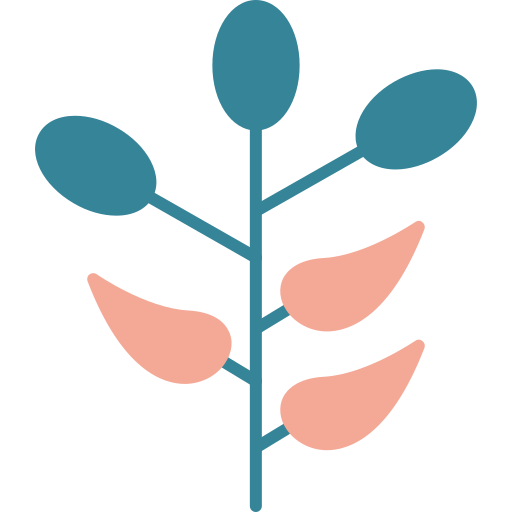 Барбарис бесплатно иконка