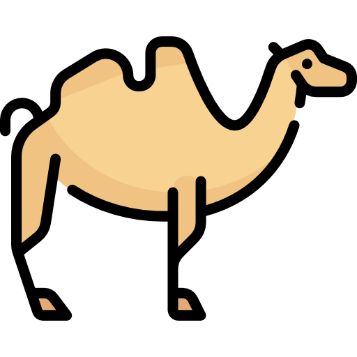 Camel Special Lineal color icon