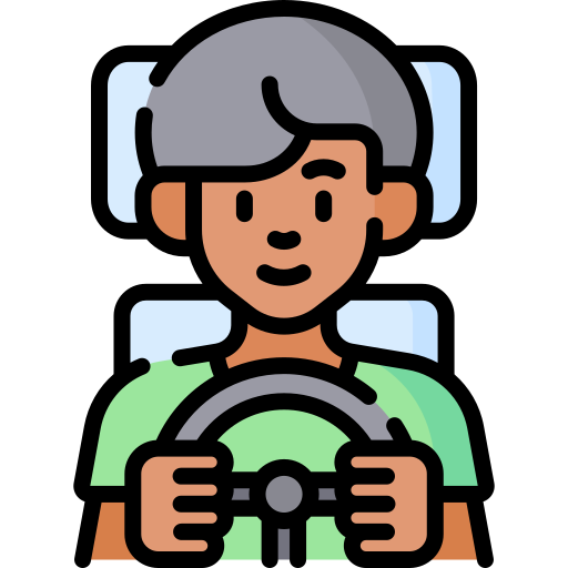 Driving free icon