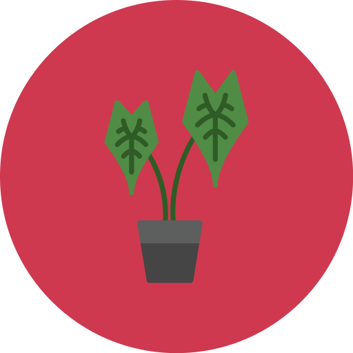 alocasia icono gratis