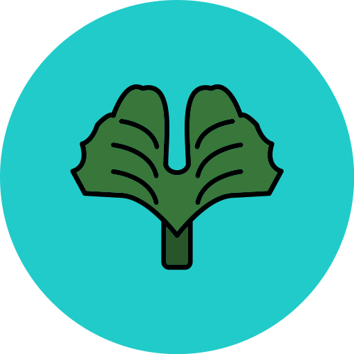 Гинкго билоба бесплатно иконка