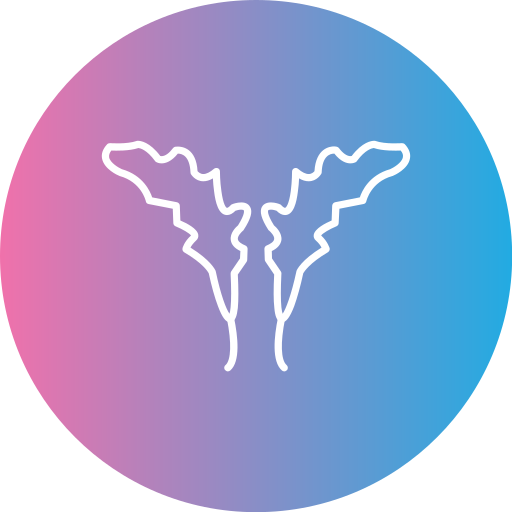 Руккола бесплатно иконка