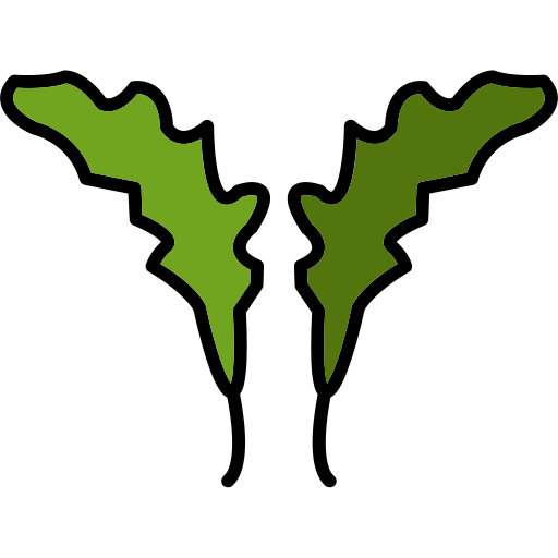 Руккола бесплатно иконка