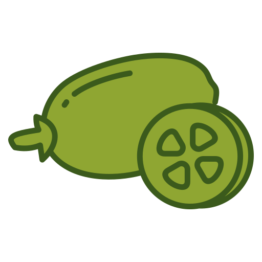 Feijoa free icon Feijoa free icon
