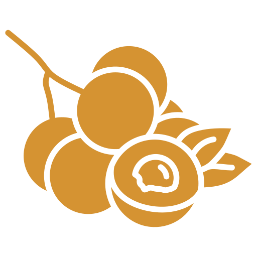 longan kostenlos Icon longan kostenlos Icon
