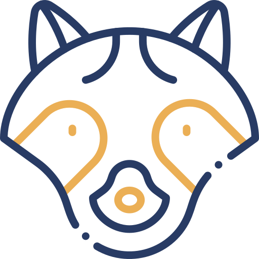 mapache icono gratis