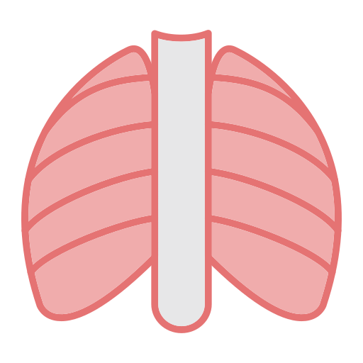 X rays free icon X rays free icon