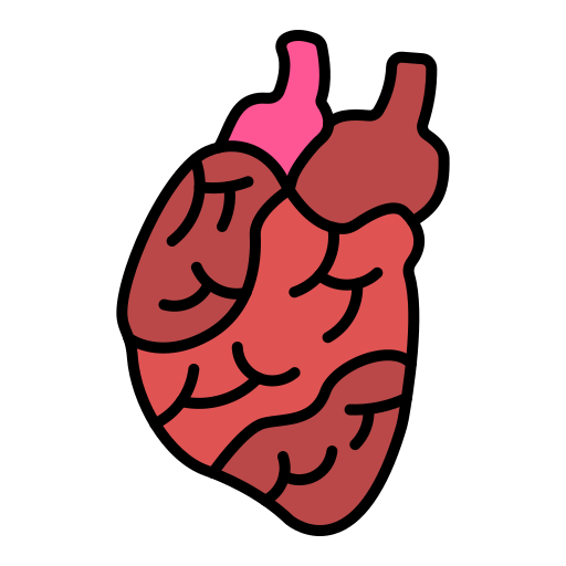 Сердце бесплатно иконка