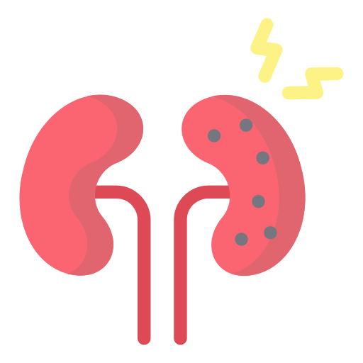 Kidneys - Free healthcare and medical icons