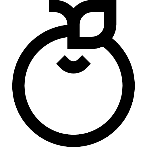 orange kostenlos Icon