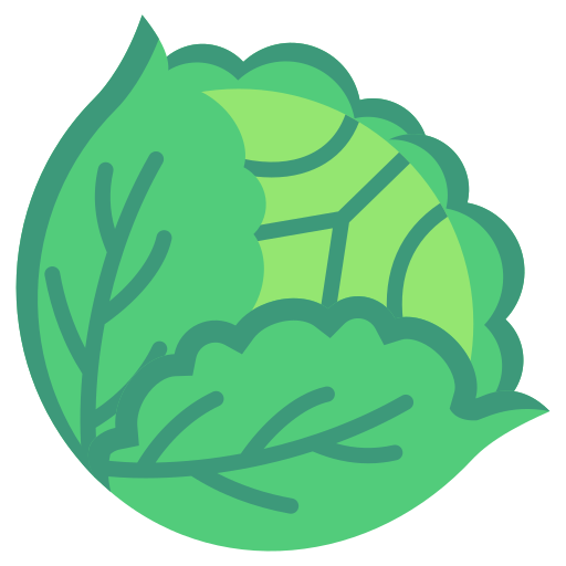Cabbage free icon