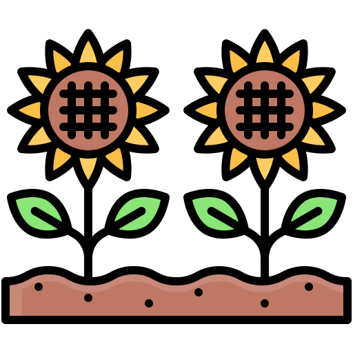 girasol icono gratis