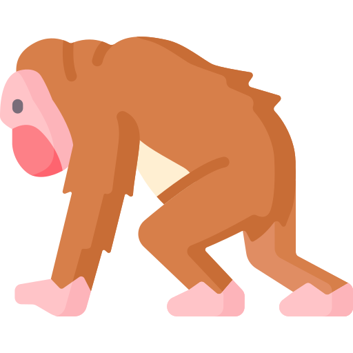 orangután icono gratis