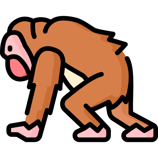 Orangutan free icon