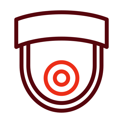vigilancia icono gratis