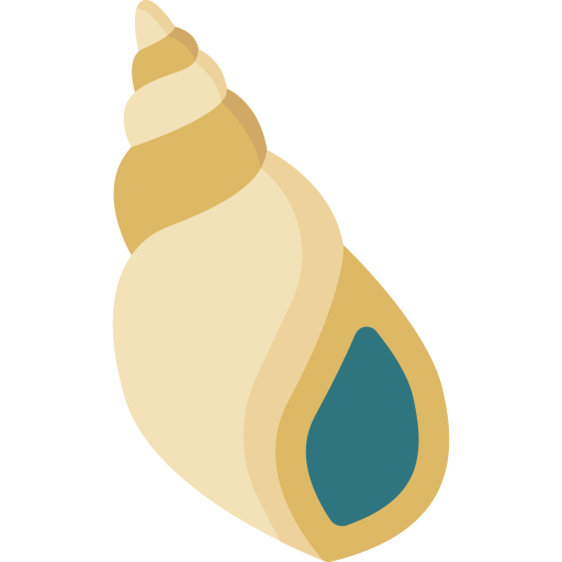 caracol de mar icono gratis