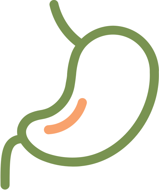 건강 무료 아이콘