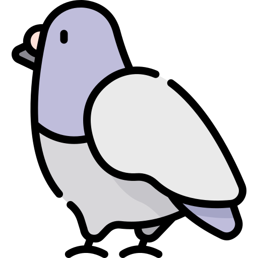 pigeon Icône gratuit pigeon Icône gratuit
