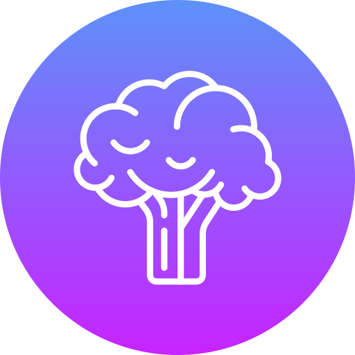 Broccoli free icon Broccoli free icon
