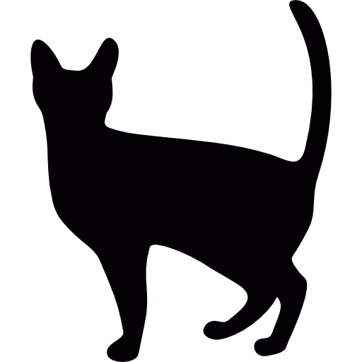 Ведьма Кошка бесплатно иконка